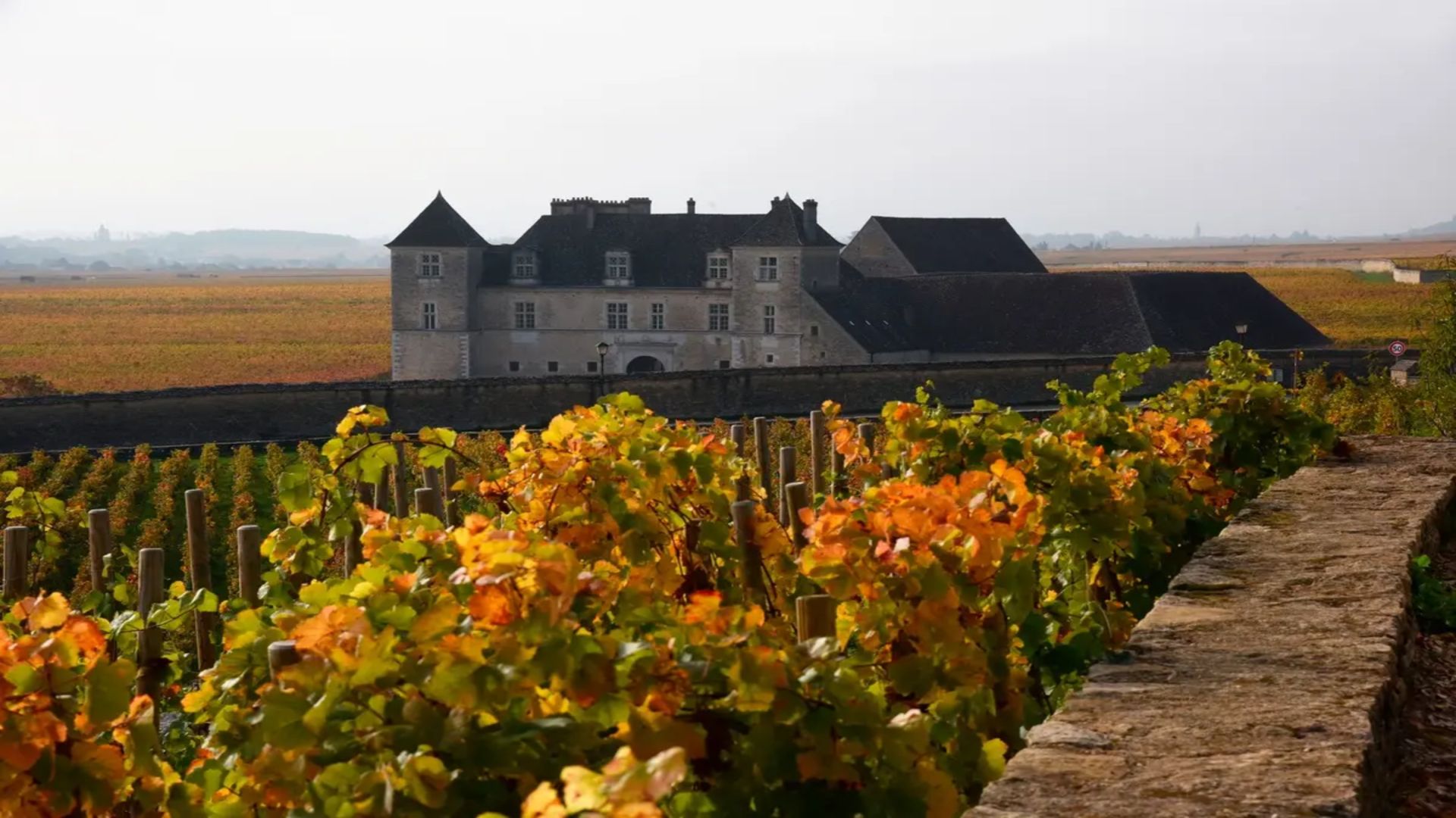 I2013 Dle France Fairytale Burgundy Escape For 2 Image9